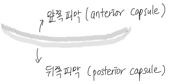 3fc24ada5a4429d2418d07f4687b28d4_1758180060_6107.PNG